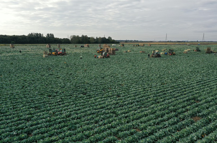 Crop data