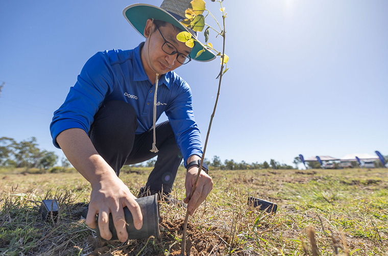 英美资源集团与浦项钢铁携手开展植树计划