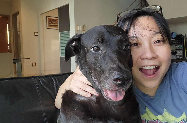 dont be a colony of penguins embrace equity