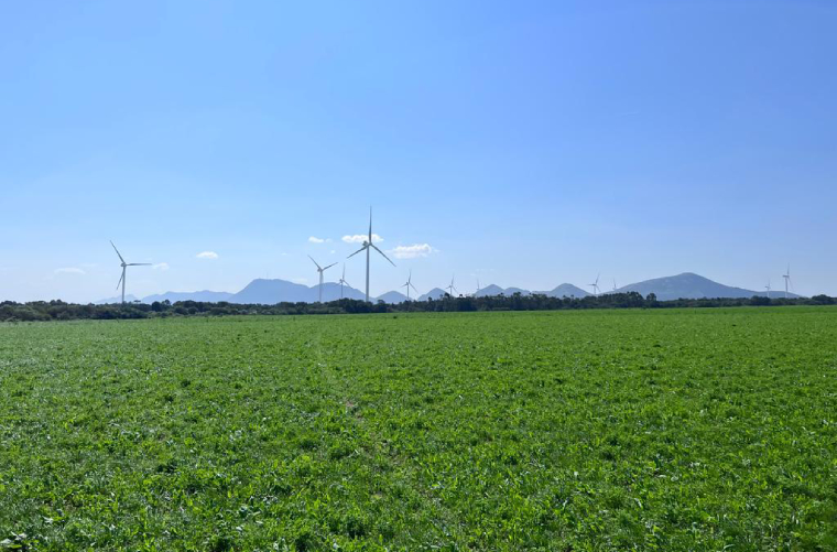 通过过自愿碳市场支持英美资源集团的脱碳行动