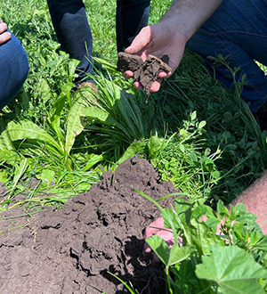 通过过自愿碳市场支持英美资源集团的脱碳行动
