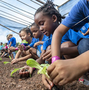 英美资源集团的可持续发展