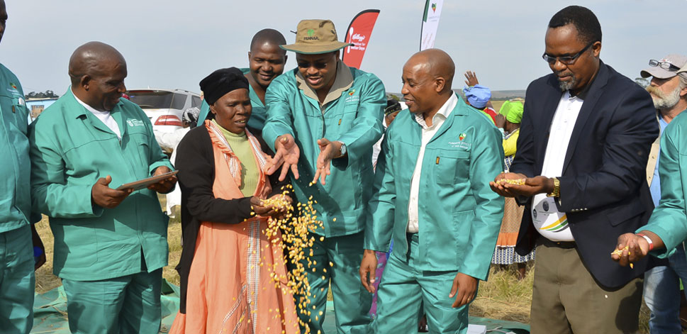 我们具可持续性采矿的未来蓝图