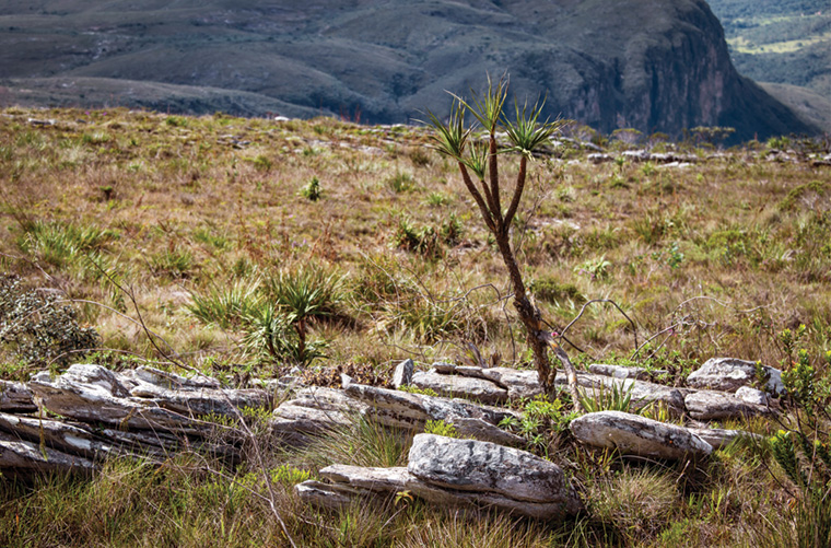 Its time to give nature a helping hand