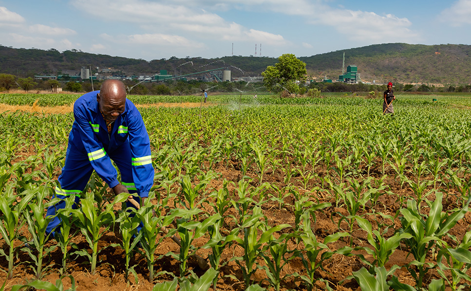 Anglo American take top sustainability prize at Volkswagen awards