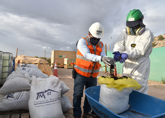 Quellaveco leaves a green footprint: Creating a forest of queñuas