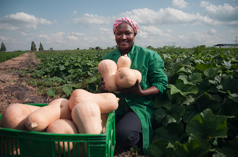 High quality organic fertilizer improves farmers' yields by 30%