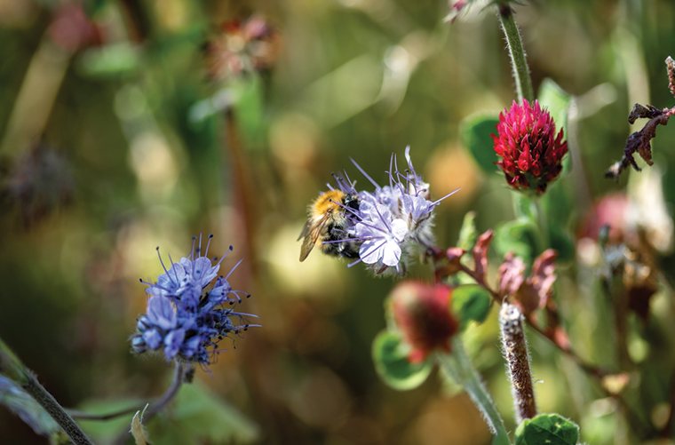 Quellaveco Environment Team Story 05-12-2023